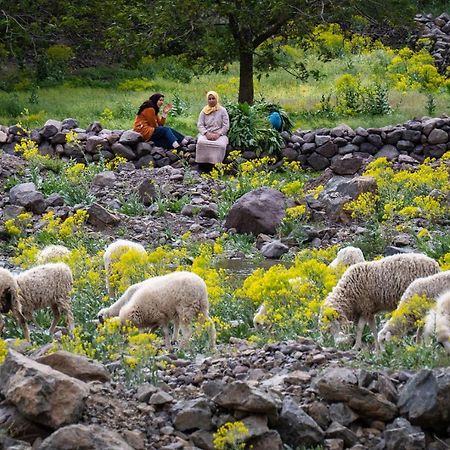 Toubkal Ecolodge 임릴 외부 사진