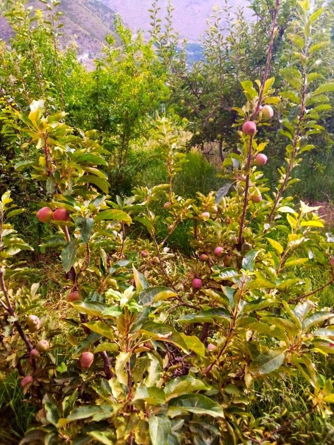 Toubkal Ecolodge 임릴 외부 사진